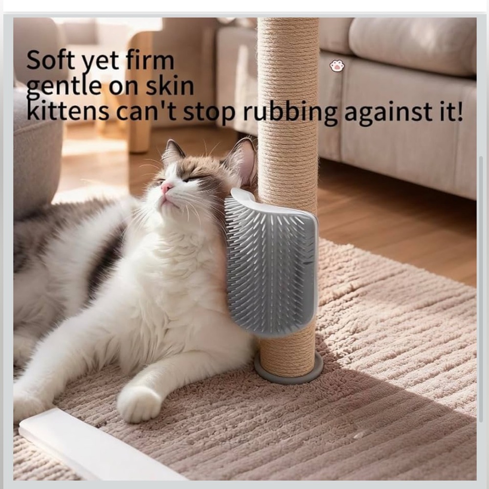 New pink Pet Set with scratcher